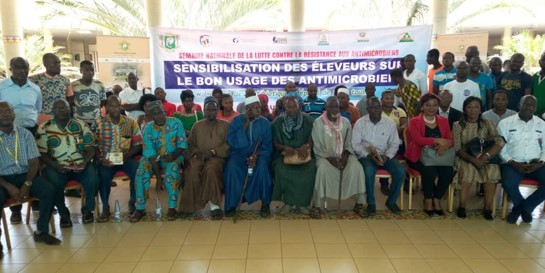 Awareness session provided to farmers on good usage of antimicrobials during National AMR Week in Yamoussoukro, November 2019. Photo credit: Dr. Bertin Guédé Kipré/Technical Working Group-AMR