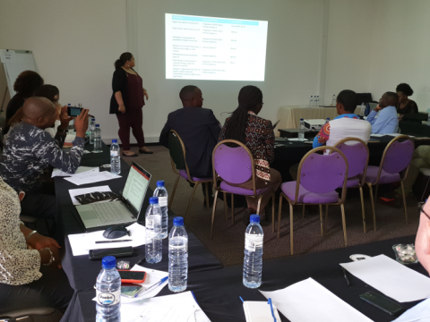 Establishing Pharmacovigilance for a New HIV Drug in Mozambique