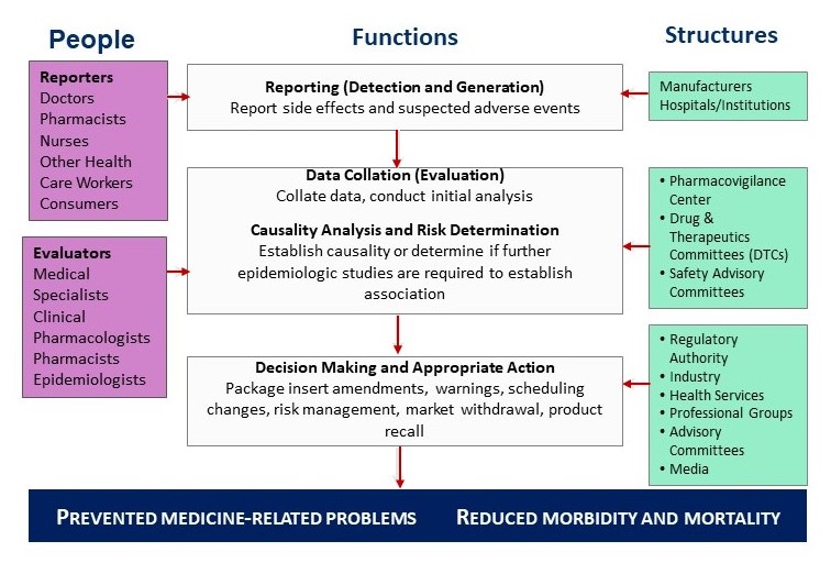 A table presenting the different components of a functional pharmacovigilance system